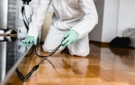 Pest Control Perth
