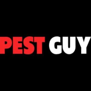 Pest Guy