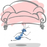 PETZOLD - Umzüge und Secondhand Möbelhaus