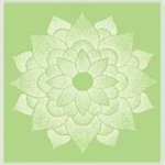 Preeti Ghelani Acupuncture