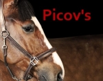 Picov’s Horseman Centre