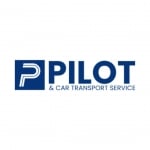 Pilot and Car