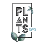 Plants Design (Trading LLC)