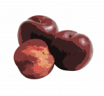 Plum Web Design