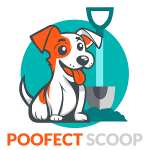 Poofect Scoop LLC
