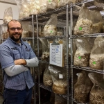 Premium Psychedelics