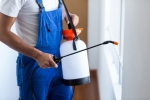Preventive Pest Control Perth
