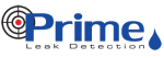 Prime Leak Detection