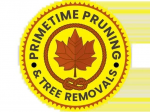 Primetime Pruning and Tree Removals