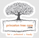 Princeton Tree Care