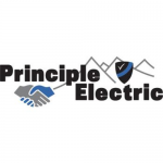 Principle Electric