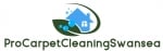 Pro Carpet Cleaning Swansea