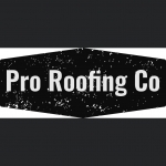 Pro Roofing and Construction LLC