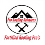 Pro Roofing Solutions