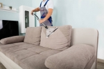 pro sofa clean