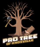 Pro Tree of Knoxville