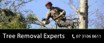 Pro Tree Removal Brisbane Qld