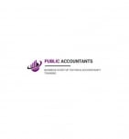 Public Accountants