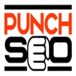 Punch SEO