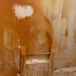 Pure Country Clean LLC