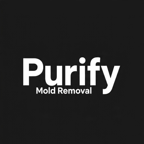 Purify Mold Removal