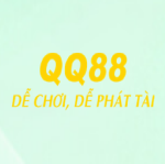 qq888dev