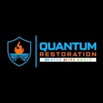 Quantum Restoration