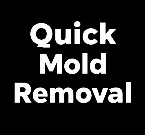 Quick Mold Removal