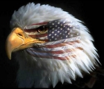 MALL OF THE UNITED STATES OF AMERICA