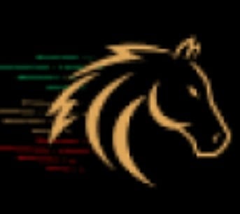 RaceX LLC-FZ