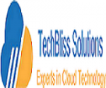 Techbliss Solutions