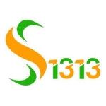 Solutions 1313