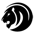Lion IT Redditch Website Design