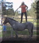 redhawkranchlady