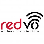 Redvo india