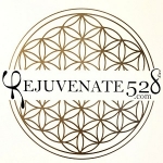 Rejuvenate 528 Regenerative Aesthetics Medical Spa