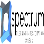 Spectrum Cleaning and Restoration