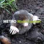 Metro Mole Control