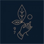 Rishi Tea & Botanicals