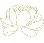 Ritual Massage and Bodywork