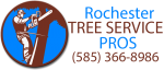 Rochester Tree Service Pros
