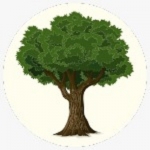 Rohnert Park Tree Services