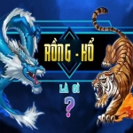 Hashtag: #Rổng hổ mu88