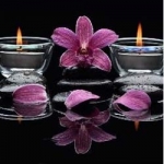 Rosa Thai Massage