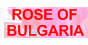 Rose of bulgaria