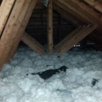 R-Specialty Attic Insulation Service