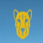 Sabi Sands Lodges Reservations