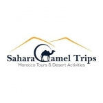Sahara Camel Trips