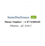 Same Day Essays