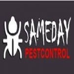 Pest Control Brisbane